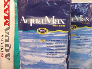 Purina AquaMax tilapia food for sale.