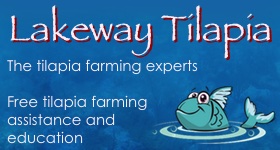 For 40 Tilapia Up To Six Inches Lakeway Tilapia Pro Pack 40 Tilapia Food 